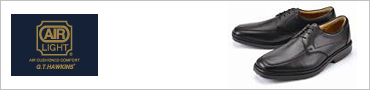 AIR-LIGHT (�r�W�l�X�V���[�Y)