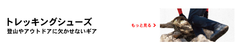 �g���b�L���O�V���[�Y (�����Y)