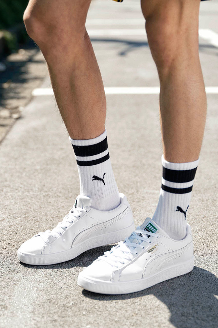 2022 SUMMER COLLECTION PUMA �R�[�f�B�l�[�g