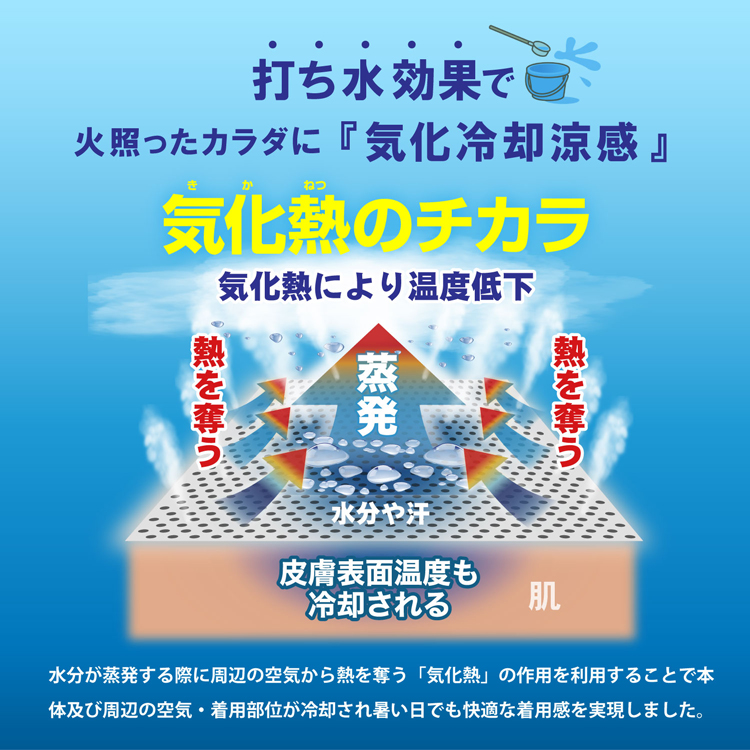 �N�[�����C�J�[��p�^�I���|���`���bActivital