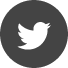 icon_twitter