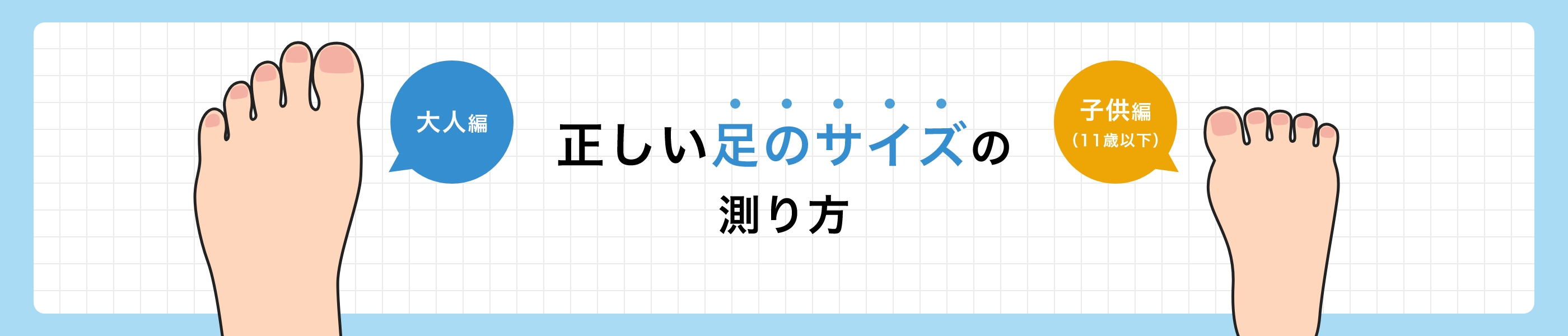 ���������̑����