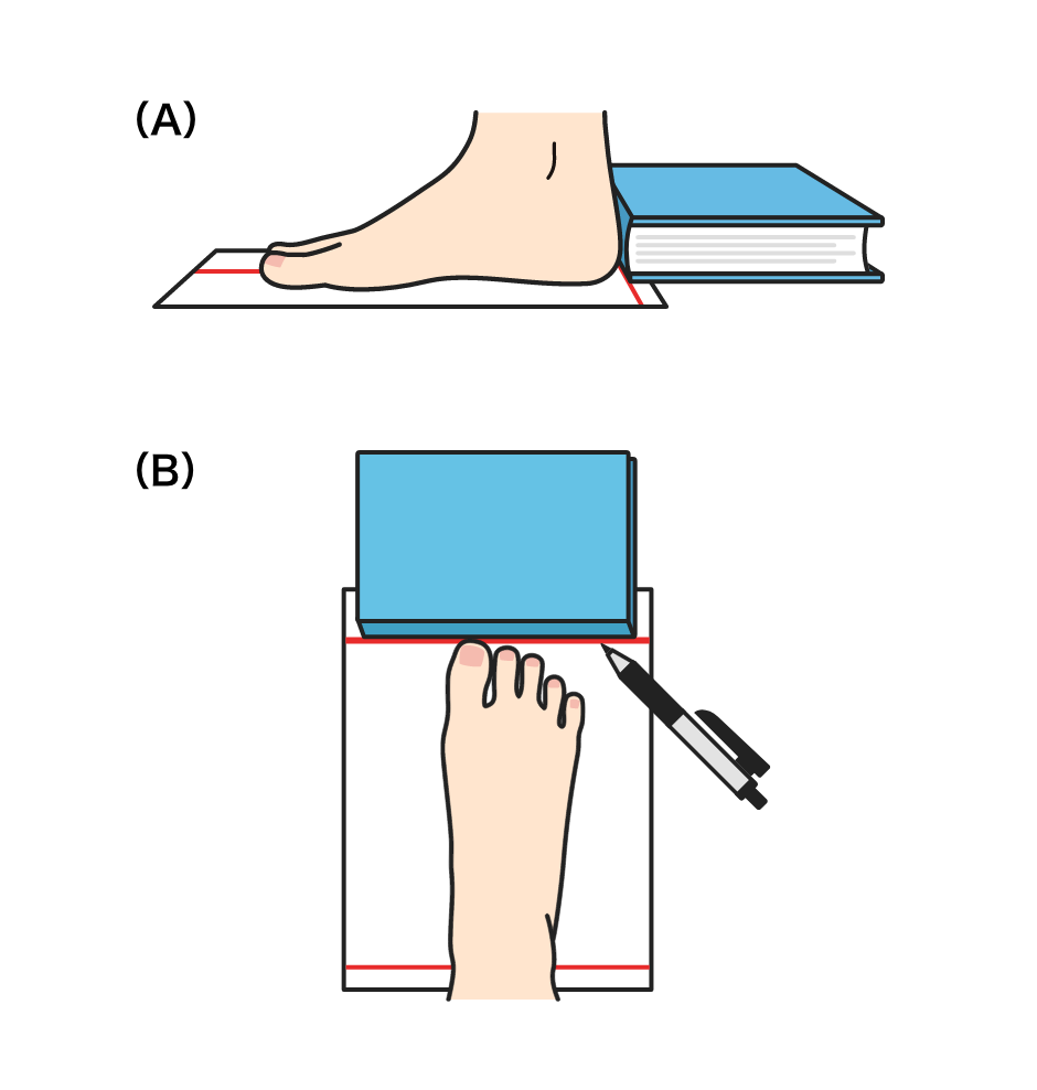 正しい足のサイズの測り方（子供編） | ABC-MART 【公式通販】